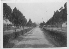 从《蜀秀集》到《国立best365英国在线体育十六周年校庆纪念特刊》：镌刻在best365英国在线体育历史丰碑上的永恒记忆（定稿） Microsoft Wo